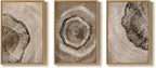 Large Framed Neutral Vintage Wall Art - Image 9