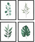 HAUS AND HUES Plant Wall Art by HausandHuesArtPrints