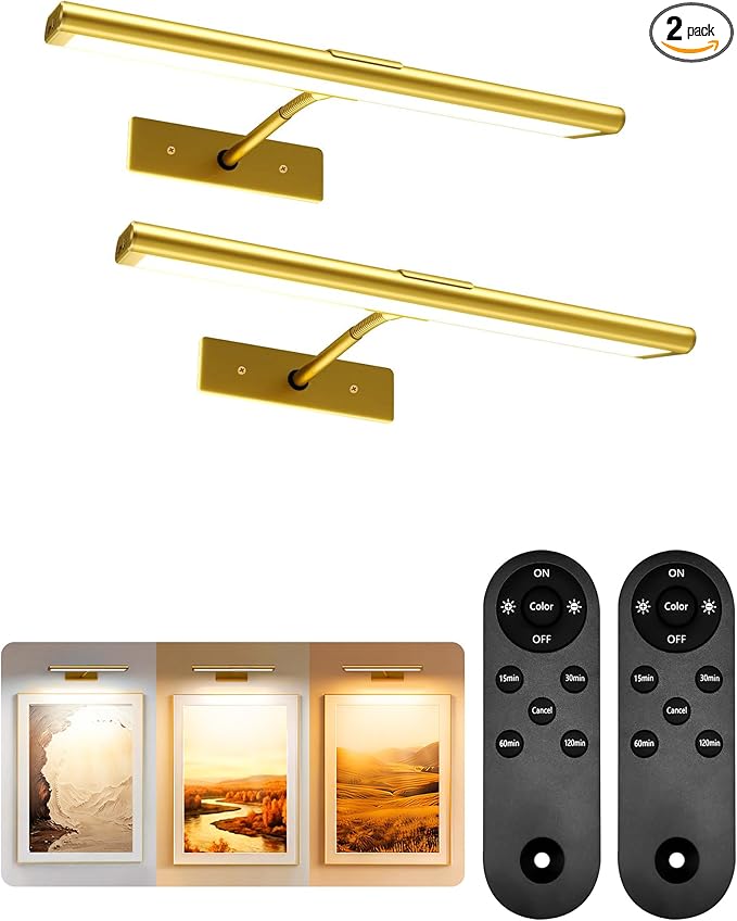 EZVALO Picture Light for Wall, 4800mAh Rechargeable Wireless Remote, Dimmable by EZVALO