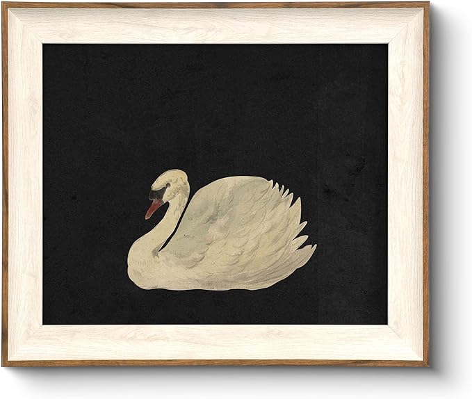 VIYYIEA Framed Wall Art for Living Room, Swan Art Canvas Prints, Vintage Home by VIYYIEAART