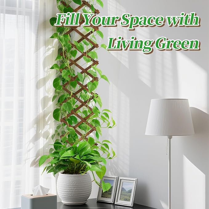 2Packs 13x78in Expandable Wood Wall Trellis - Image 4