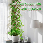 2Packs 13x78in Expandable Wood Wall Trellis - Image 4