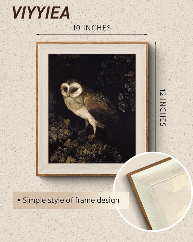VIYYIEA Framed Wall Art for Living Room, Owl Canvas Prints, Vintage Home Decor - Image 2