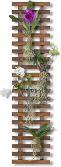 Mulctun Wall Planters by Unknown