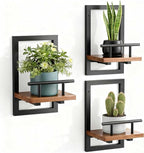 Sbosbo Floating Shelves for Wall, Plant Shelf Indoor, Wall Planters for Indoor by SBOSBO