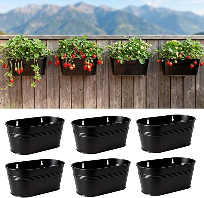 LaLaGreen Wall Planter Black Oval Metal Wall Hanging Decor Plant Holder by L%C3%A1L%C3%A1Green
