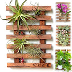 ShopLaLa Wall Planter – Wooden Air Plant Succulent Holder Hanger Indoor Outdoor by ShopLaLa