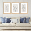 YWJKWLGS Neutral Botanical Prints Framed Wall Art Decor 16x24 Inch Set of 3 by Unknown