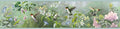 Chesapeake HTM48531B Ruby Green Hummingbird Garden Wallpaper Border by Chesapeake