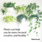Make Good Virgo Wall Planters - Image 5
