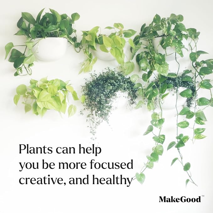 Make Good Virgo Wall Planters - Image 5