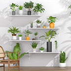 Deep Floating Shelves for Wall Set of 3, 24W x 12 Inch Deep White Floating - Image 6