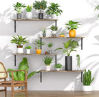 Deep Floating Shelves for Wall Set of 3, 24W x 12 Inch Deep Floating Shelves - Image 6