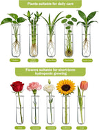 XXXFLOWER Wall Hanging Propagation Station - Image 6