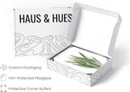 HAUS AND HUES Plant Wall Art - Image 4