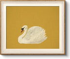 VIYYIEA Framed Wall Art for Living Room, Swan Canvas Prints, Animals Painting by VIYYIEAART