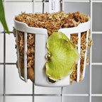 Staghorn Fern Mount Wall Planter Basket Vertical Orchid Hanging Planter - Image 6