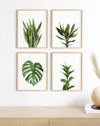 HAUS AND HUES Plant Photo Set of 4-8x10 - Image 4