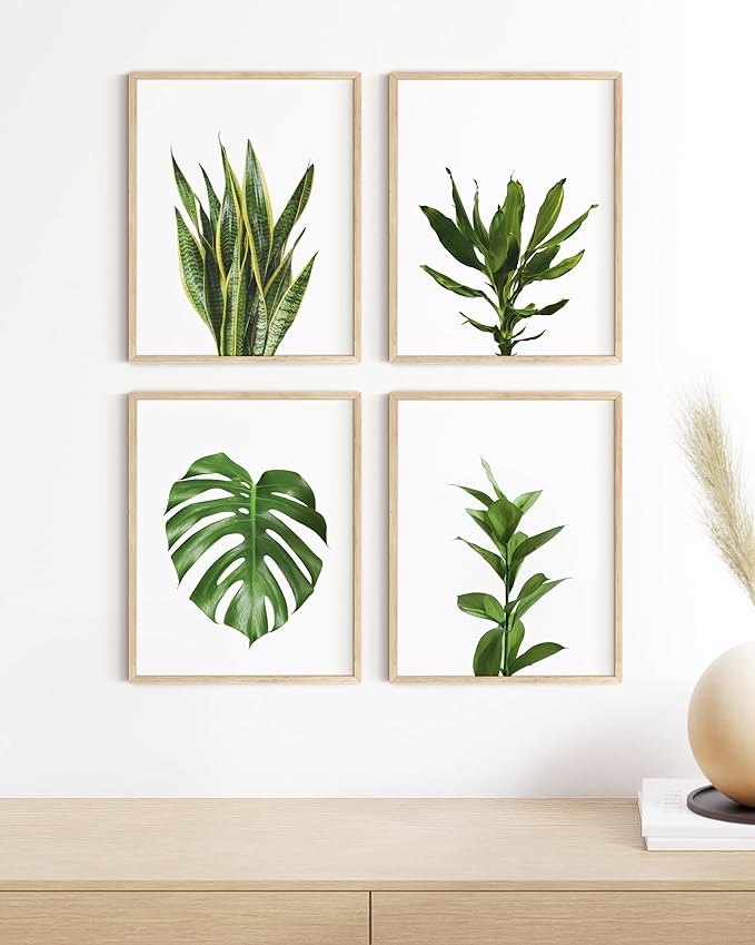 HAUS AND HUES Plant Photo Set of 4-8x10 - Image 4