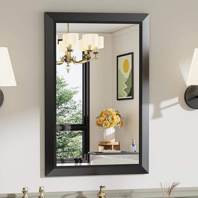 Briivue 20x30 Inch Black Bathroom Mirror by Briivuemodernmirrors