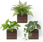 Dahey Small 4 Inch Wood Wall Hanging Planter Boxes by Dahey