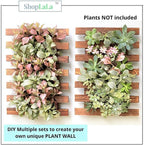 ShopLaLa Wall Planter - Image 4
