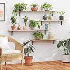 DINZI LVJ Long Wall Shelves, 31.5 Inch Wall Mounted Shelves Set of 2, - Image 6