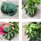 36 Pockets Living Wall Planter Indoor, Self Watering Wall Hanging Planters - Image 5