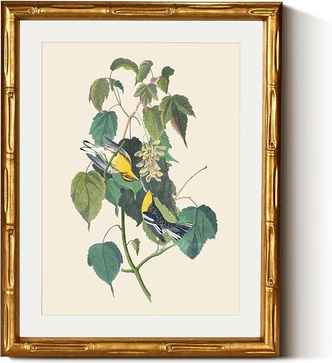 InSimSea Gold Bamboo Framed Canvas Wall Art, Vintage Bird Botanical Paintings by InSimSeaArt
