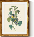 InSimSea Gold Bamboo Framed Canvas Wall Art, Vintage Bird Botanical Paintings by InSimSeaArt