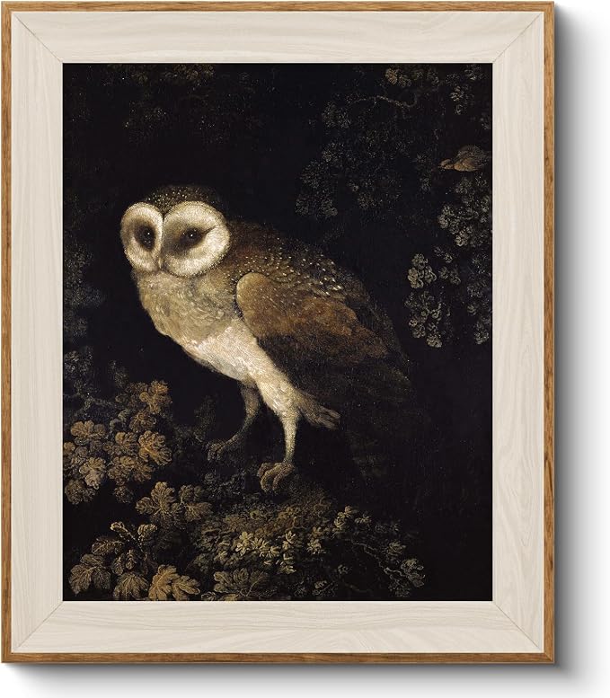 VIYYIEA Framed Wall Art for Living Room, Owl Canvas Prints, Vintage Home Decor by VIYYIEAART