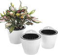 3 Pack Self Watering Wall Hanging Planter Pots Vertical Garden Window Hang by OrimercGarden