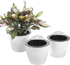 3 Pack Self Watering Wall Hanging Planter Pots Vertical Garden Window Hang by OrimercGarden