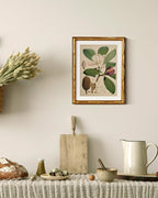 InSimSea Gold Bamboo Framed Canvas Wall Art, Retro Nature Magnolia Botanical - Image 5