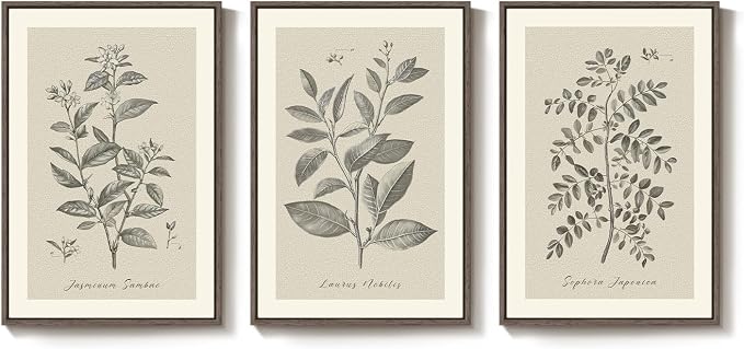 Large Framed Vintage Botanical Wall Art - Image 9