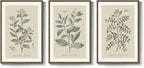 Framed Vintage Botanical Wall Art, 3 Piece Neutral Floral Plants Canvas - Image 8