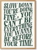 Green Wall Art Pop Music Vienna Lyrics Poster Slow Down Youre Doing Fine Canvas by Unknown