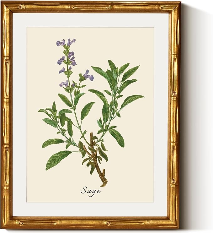 InSimSea Gold Bamboo Framed Canvas Wall Art, Vintage Watercolor Sage Herbs by InSimSeaArt