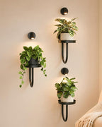 Bamworld Wall Decor Plant Stand by Bamworld