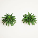 Nearly Natural 40in Hanging Artificial Boston Fern Plant Set of 2 - Image 8