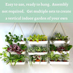 LaLaGreen Hanging Wall Planter - Image 7
