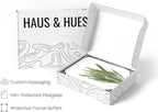 HAUS AND HUES Plant Wall Art - Image 4