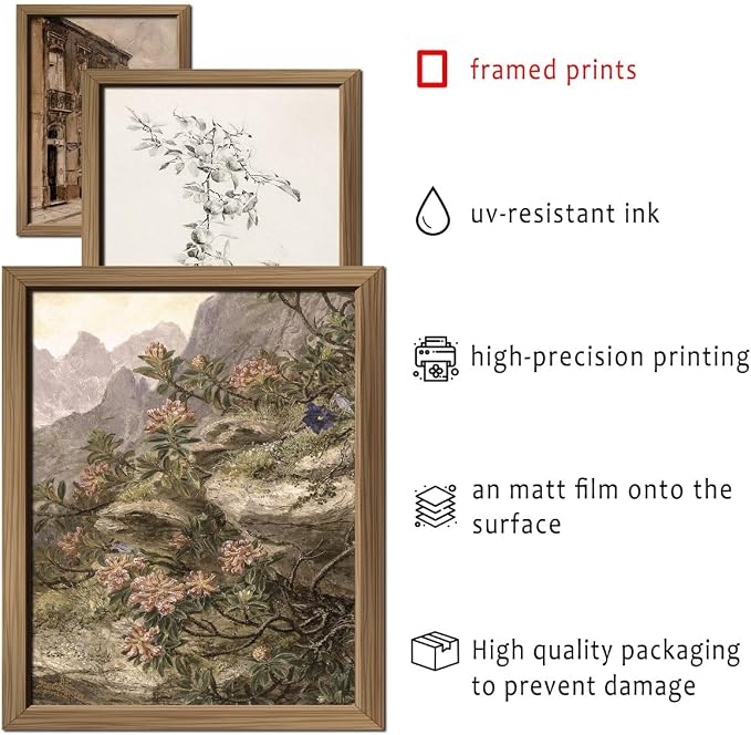 16 PCS Framed Vintage Wall Art Decor, French Country Farmhouse Gallery Wall - Image 3