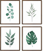 HAUS AND HUES Plant Wall Art by HausandHuesArtPrints