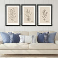 YWJKWLGS Vintage Botanical Wall Art 16x24 Inch Set Of 3 Wooded Framed by Unknown