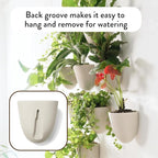 Make Good PlantPod Luxe Self-Watering Wall Planters - Image 4
