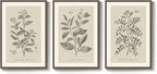 Large Framed Botanical Wall Art - Image 9