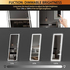 Hasipu Full Length Mirror with Lights, Full Body Dressing Standing, Hanging - Image 4