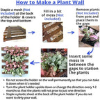 ShopLaLa Wall Planter - Image 5