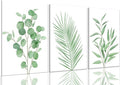 Bwodke Botanical Wall Art Plant Floral Watercolor Poster Canvas Prints Set of 3 by Bwodke